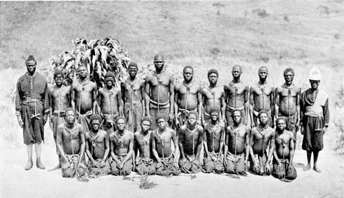 king leopold and the congo free state