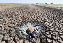 Drought and the Global Water Crisis drought