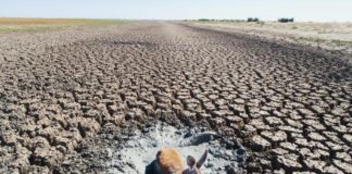 Drought and the Global Water Crisis drought