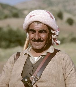 history of the kurds