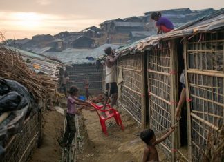 refugees and pandemic