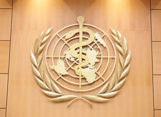 world health organization timeline