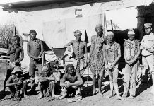 herero genocide