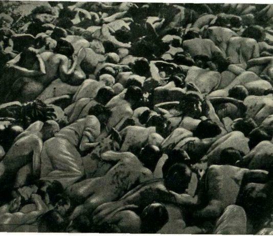 stages of the holocaust by bullets