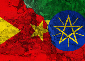 tigray crisis