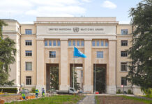 human rights council