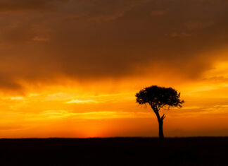 famine in east africa