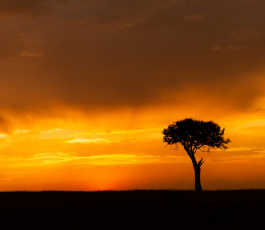 famine in east africa