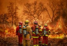 This Week in Climate Change