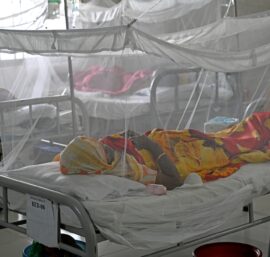 Dengue Fever Outbreaks Rise Around the Globe