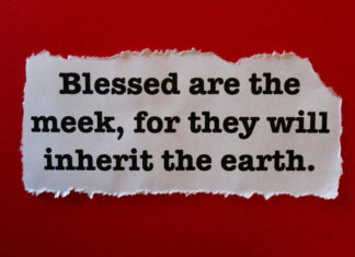 Blessed Are the Meek blessed are the meek