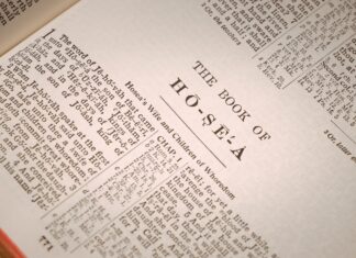 28 Things I Learned In the Book of Hosea