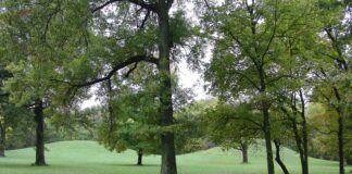 The Mississippian Civilization: America’s Forgotten Ancient Empire cahokia