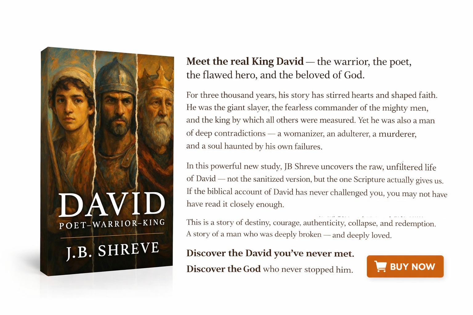 book about king David