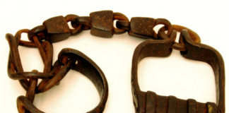 The Evolution of Slavery in America