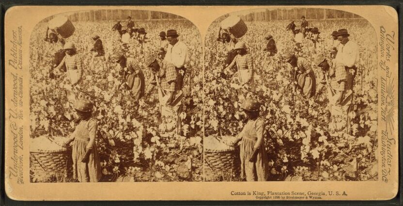 lossy-page1-960px-Cotton_is_king_-_A_plantation_scene,_Georgia_(NYPL_b11707428-G90F151_039F).tiff