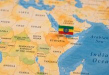 Global Watch: Ethiopia’s main armed movements form alliance to overthrow Abiy government