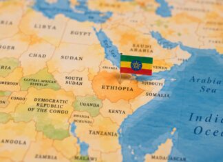 Global Watch: Eritrean Troops Enter Ethiopia as Regional War Threat Grows