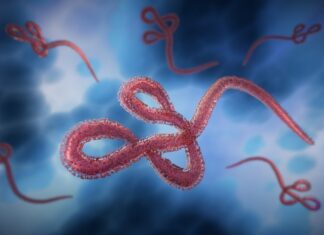 Global Watch: Congo’s Ebola Outbreak Passes 3,000 Deaths